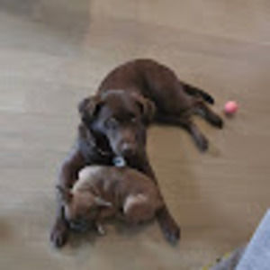 Meet your Posher, Karen mark